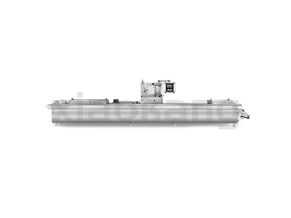 DLZ-420F高速全自动连续拉伸真空包装机